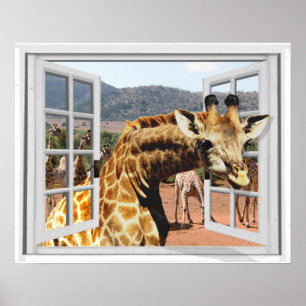 Giraffe in Fake Window Uitzicht Trompe l'oeil Effe Poster