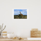 GIRAFFE IN KENIA AFRIKA POSTER (Keuken)