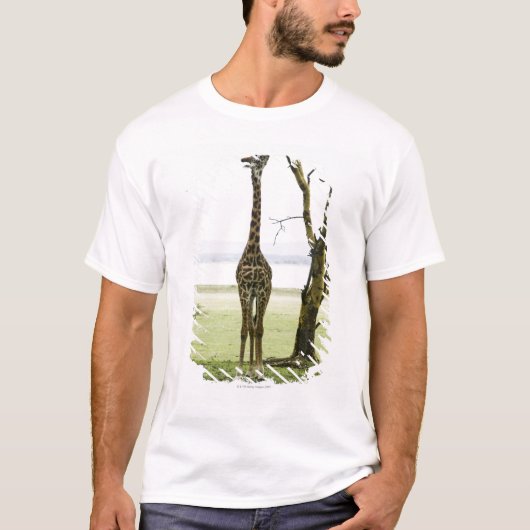 Giraffe in Kenia, Afrika T-shirt (Voorkant)