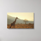 Giraffe in the Savannah Canvas Afdruk (Voorkant)