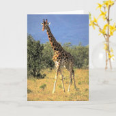 Giraffe Kaart (Gele Bloem)