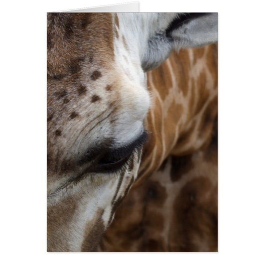 Giraffe Kaart (Voorkant)