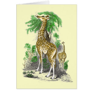 Giraffe Kaarten