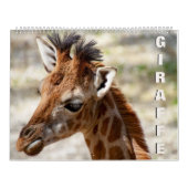 Giraffe Kalender (Hoes)