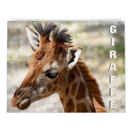 Giraffe Kalender