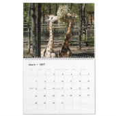 Giraffe Kalender (Mar 2027)