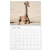 Giraffe Kalender (Jan 2027)