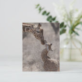 Giraffe, Kenia, Afrika Briefkaart (Staand voorkant)