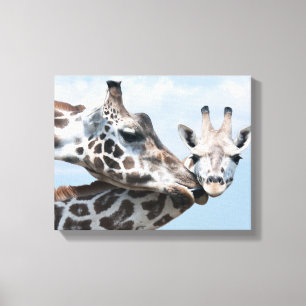 Giraffe Kisses her Calf Canvas Afdruk