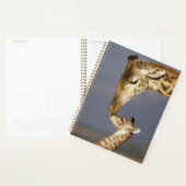 Giraffe KissingBaby Giraffe Planner (Display)