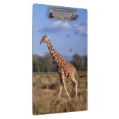 Giraffe Klembord (Rechts)
