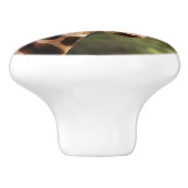 Giraffe knop (Zijkant)