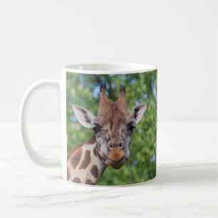 Giraffe Koffiemok