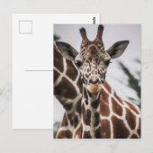 Giraffe kop Giraffe print Afrikaans dier Briefkaart (Voorkant / Achterkant)