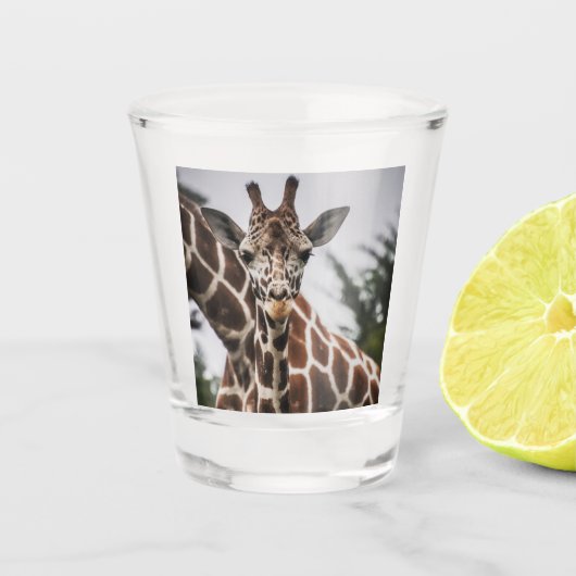 Giraffe kop Giraffe print Afrikaans dier Shot Glas (Voorkant)