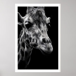 Giraffe-kunstprint Crisp monochrome fotografie Poster