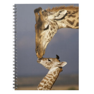 Giraffe kust baby giraffe notitieboek