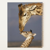 Giraffe kust baby giraffe planner (Achterkant)