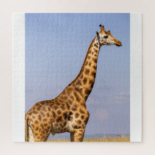 Giraffe legpuzzel
