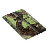 Giraffe Liefde... Magneet (Rechterzijde)