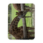Giraffe Liefde... Magneet (Verticaal)
