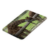 Giraffe Liefde... Magneet (Linkerzijde)