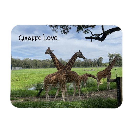 Giraffe liefde...magneet magneet (Horizontaal)