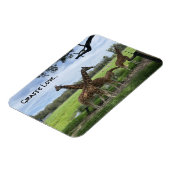 Giraffe liefde...magneet magneet (Linkerzijde)