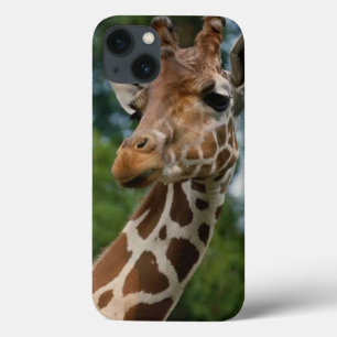 Giraffe Liefhebbers iPhone 13 Hoesje