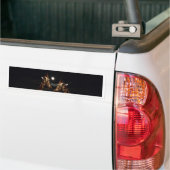 Giraffe Love in the Moonlight Bumpersticker (Op Truck)