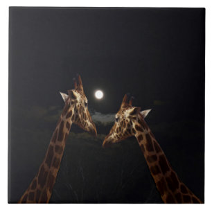 Giraffe Love in the Moonlight Tegeltje