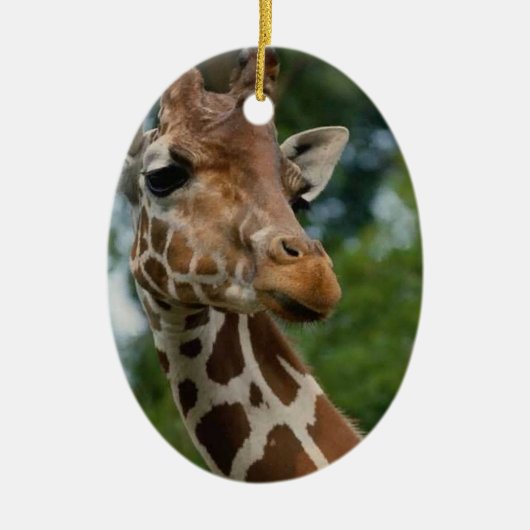 Giraffe Lovers kerstversiering Keramisch Ornament (Voorkant)