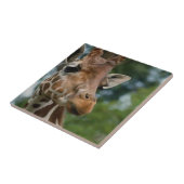 Giraffe Lovers Wildlife Tegeltje (Zijkant)