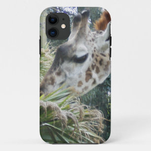 Giraffe Lunch iPhone 5 coque