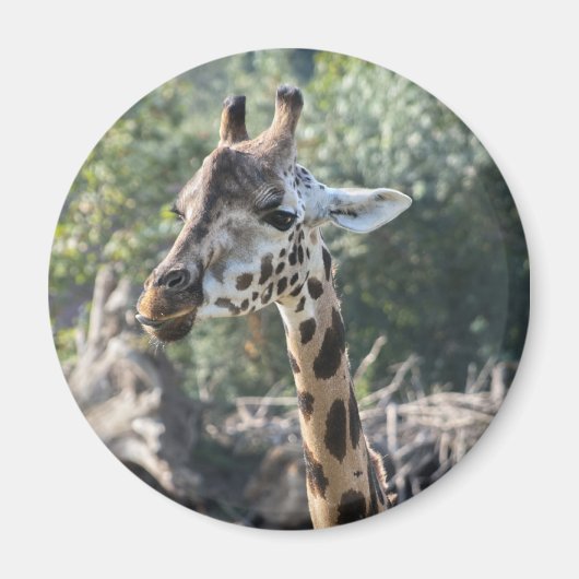 Giraffe Magneet (Voorkant)