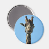 GIRAFFE MAGNEET (Voorkant / Achterkant)