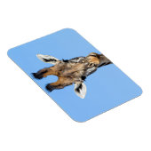Giraffe Magneet (Rechterzijde)