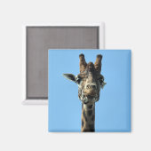 GIRAFFE MAGNEET (Voorkant / Achterkant)