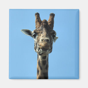 GIRAFFE MAGNEET