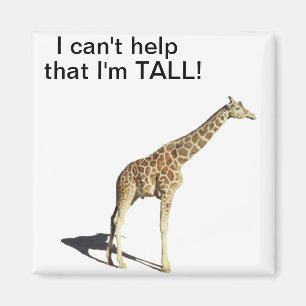 Giraffe Magneet