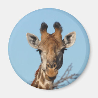 Giraffe Magneet