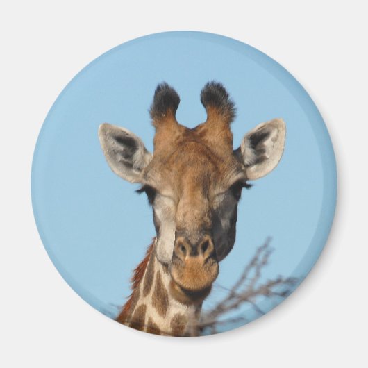Giraffe Magneet (Voorkant)