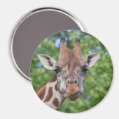 Giraffe Magneet (Voorkant / Achterkant)