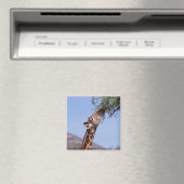 Giraffe Magneet (Insitu (Vaatwasser))