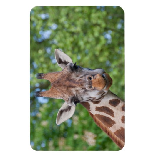 Giraffe Magneet (Verticaal)