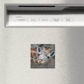 Giraffe Magnet Magneet (Insitu (Vaatwasser))
