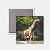 Giraffe Magnet Magneet (Voorkant / Achterkant)