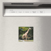Giraffe Magnet Magneet (Insitu (Vaatwasser))