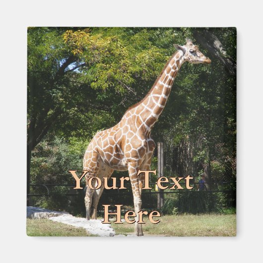 Giraffe Magnet Magneet (Voorkant)