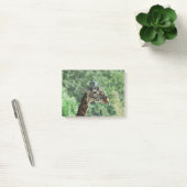 Giraffe met een lange tong post-it® notes (Kantoor)